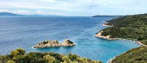 Planète - En Méditerranée, une nouvelle algue vient menacer les écosystèmes