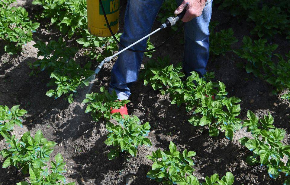 Planète (France/Europe) - La présence de glyphosate mise en évidence dans les urines de volontaires de 84 départements