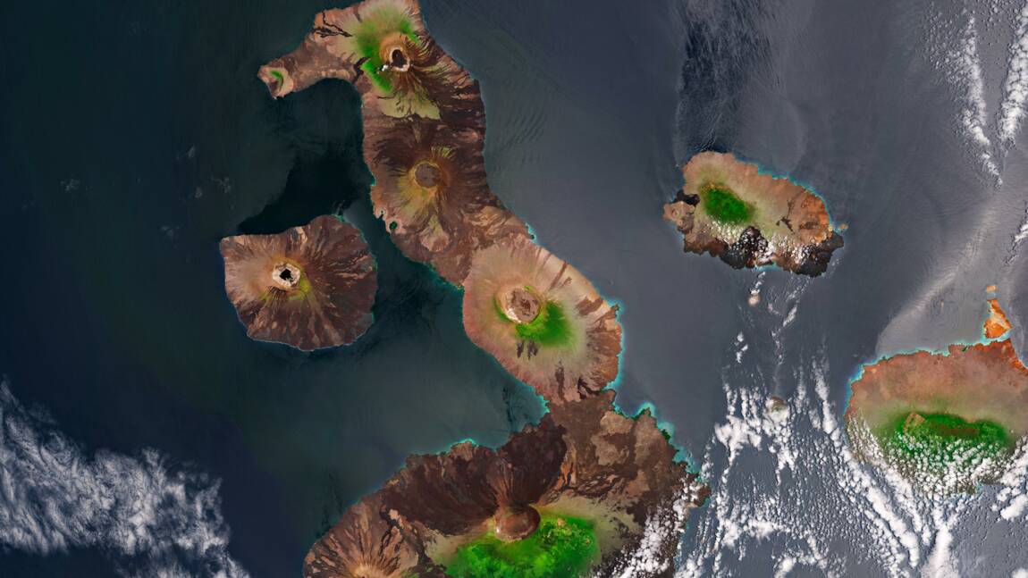 Planète (Amérique du Sud) - L'Equateur agrandit sa réserve marine des Galápagos de près de 60 %