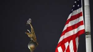 Planète (Etats-Unis/Amérique du Nord) - A Washington, les Américains se passionnent pour un hibou venu de l'Arctique