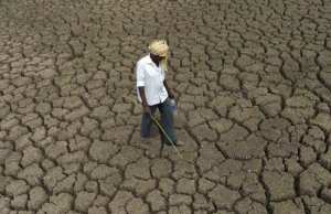 Algérie - Les précipitations se font rares: La sécheresse plane-t-elle ?