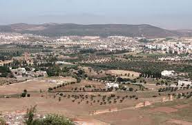 Algérie (Tlemcen) - L'oranger et l'olivier font recette