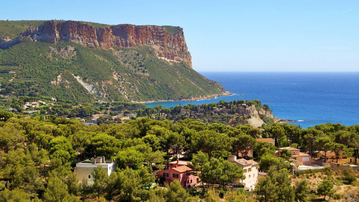 Planète (France/Europe) - La région Provence-Alpes-Côte d'Azur veut planter cinq millions d'arbres