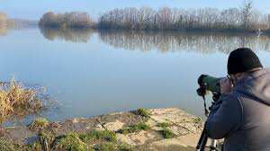 Algérie (Tlemcen) - La sécheresse provoque le déclin des oiseaux d'eau
