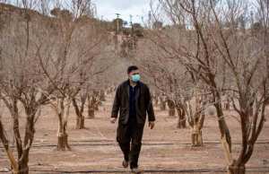 Algérie (Sidi-Bel-Abbès) - Les agriculteurs face à une sécheresse persistante