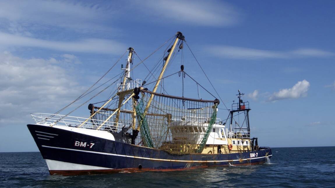 Planète - Les ravages de la surpêche: il n'est pas trop tard pour réagir
