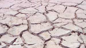 Planète - 45,2°C au Cap, 50,7°C en Australie... L'hémisphère sud étouffe en plein été austral