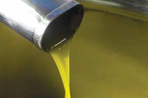 Algérie (Constantine) - SAISON OLÉICOLE 2020-2021: Augmentation de la production d’olives