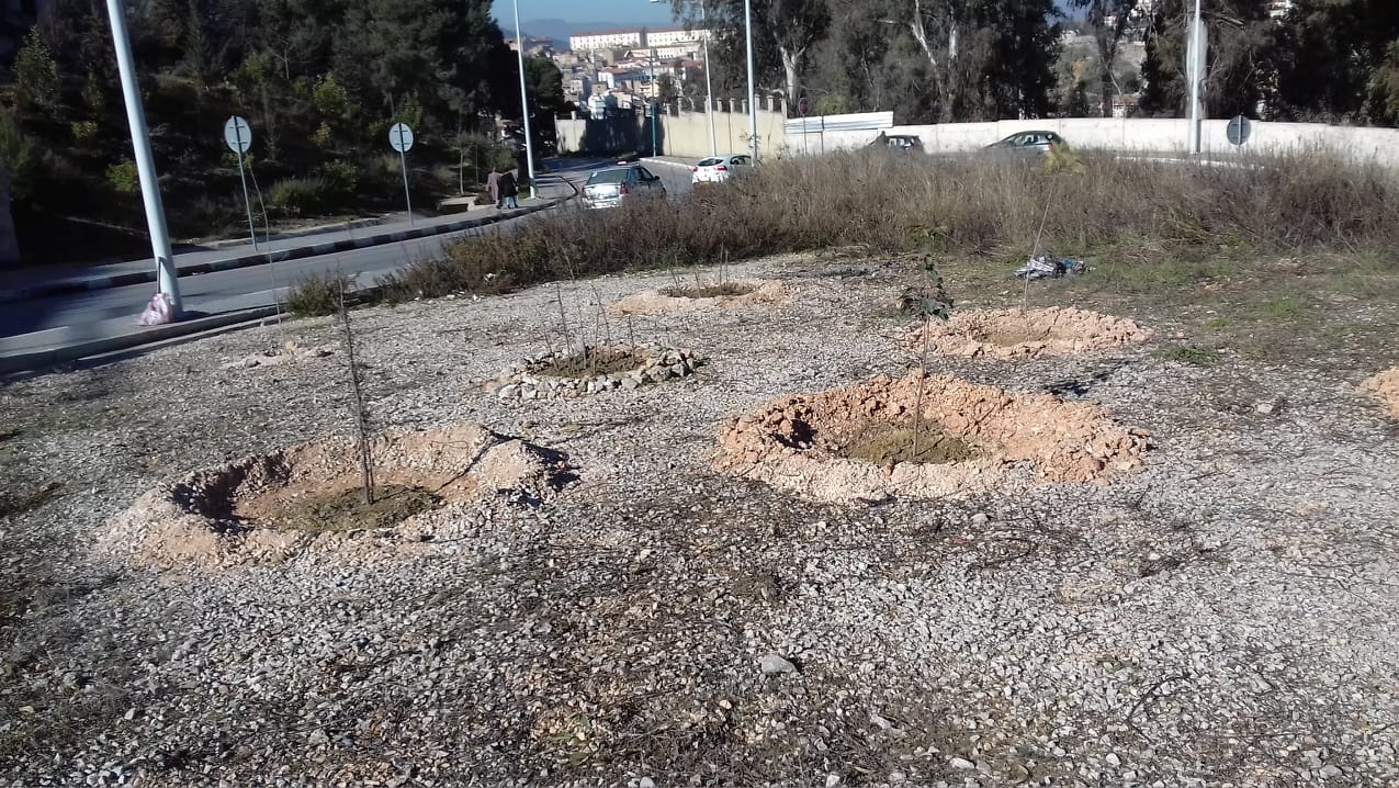 Constantine – Reboisement citoyen: Extension de Djenane Dardar Qacentina