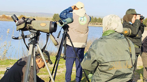 Algérie (Aïn Témouchent) - DANS LES HUIT ZONES HUMIDES: 5.200 oiseaux migrateurs parmi 31 espèces recensés