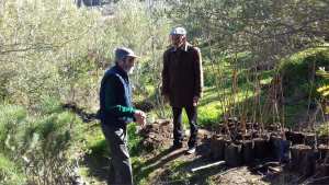 Constantine – Le chêne vert à Djenane Dardar et son extension