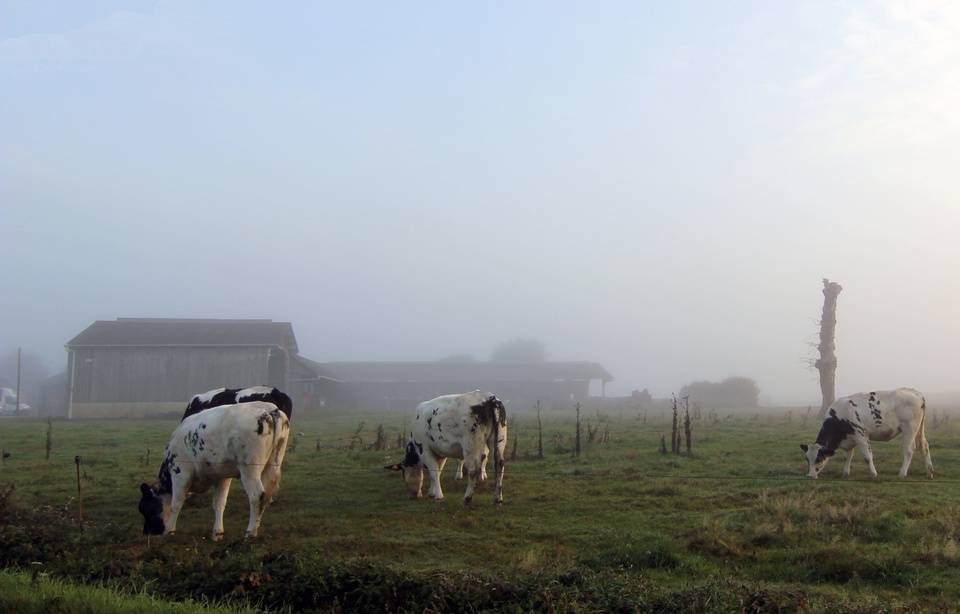 Planète (France/Europe) - Bretagne: «Le système va droit dans le mur»… Une coordination pour une autre agriculture voit le jour