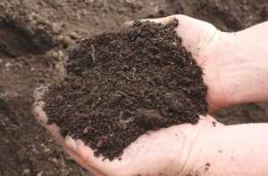 Ouargla - UNE ALTERNATIVE AUX ENGRAIS CHIMIQUES: Fabrication de compost naturel