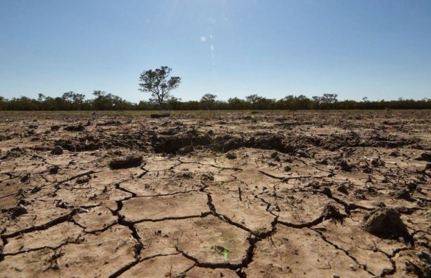 Algérie (Aïn-Témouchent) - Mleta: une plaine qui meurt de soif