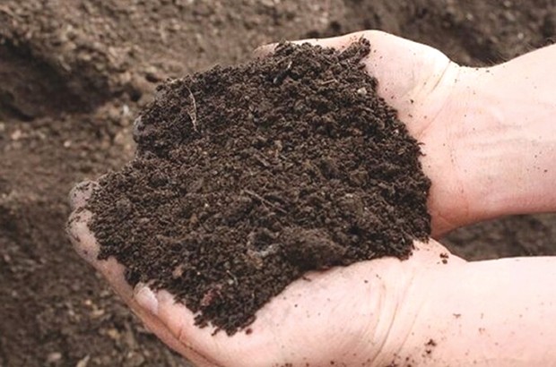 Ouargla - UNE ALTERNATIVE AUX ENGRAIS CHIMIQUES: Fabrication de compost naturel