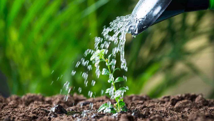 Repenser la politique pour améliorer l'utilisation productive et durable de l'eau dans le secteur de l’agriculture