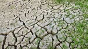 Algérie - MÉTÉO: Toujours pas de pluie, 37° au Sahara