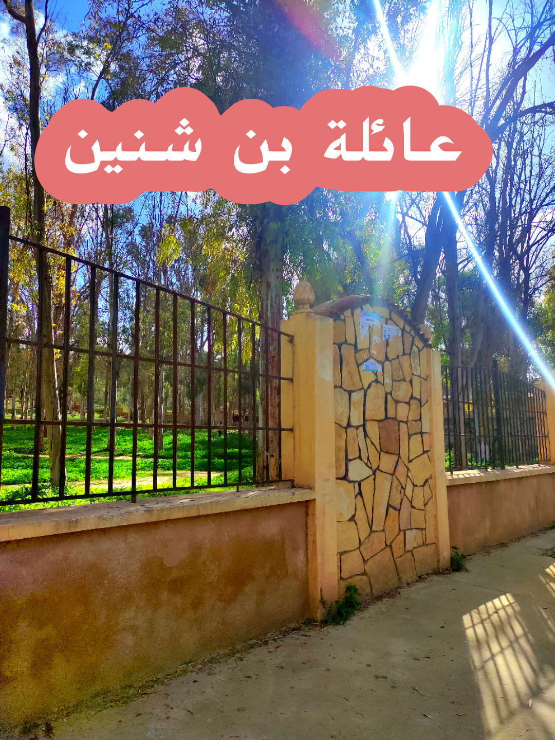 قصيدة المجاهد قدور بن شنين