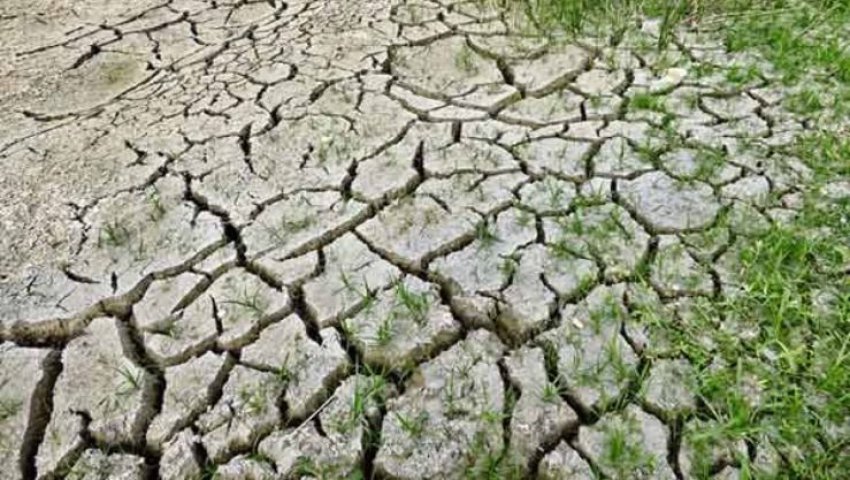 Algérie - MÉTÉO: Toujours pas de pluie, 37° au Sahara