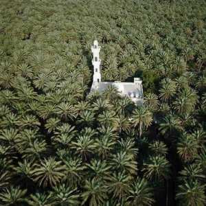 Tolga, Ouled Djellal et Hiziya