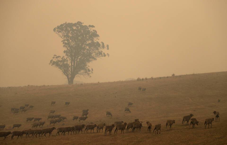 Planète - Réchauffement climatique: Le monde n'est pas prêt à affronter les futurs méga-incendies, avertit l'ONU
