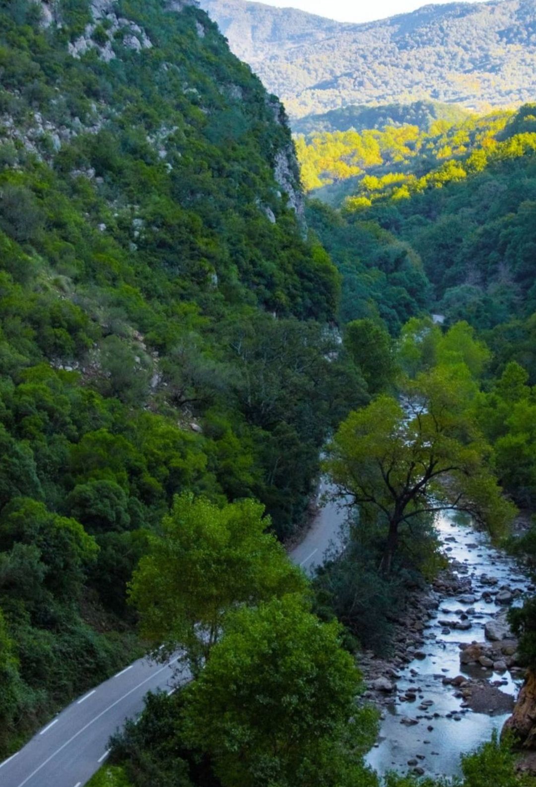 Parc National de Taza, Jijel !