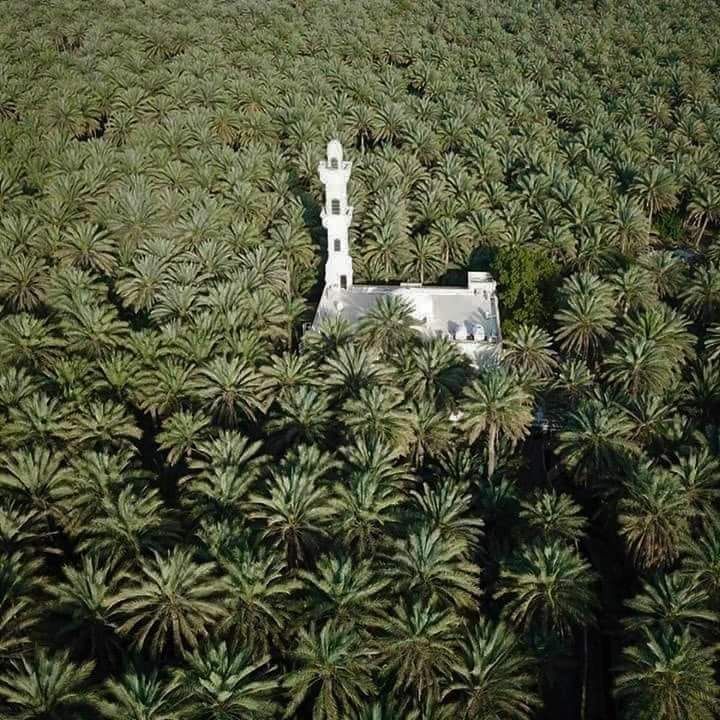 Tolga, Ouled Djellal et Hiziya