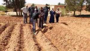 Aïn-Séfra (Naâma) - Les petits maraîchers de la Dzira se plaignent du manque d’eau