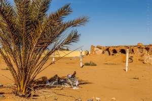 De l’art de lire et de la servitude électronique, Par : Kamel DAOUD