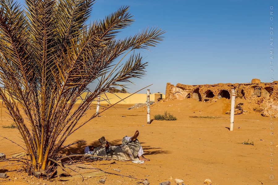 De l’art de lire et de la servitude électronique, Par : Kamel DAOUD