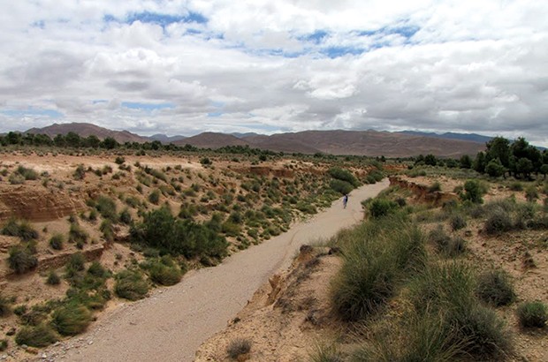 Algérie (Bordj Bou-Arréridj) - Intégration de 11 communes dans le projet du barrage vert