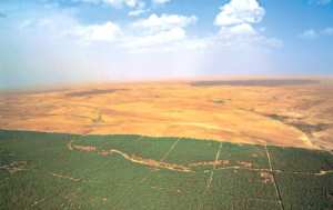 Algérie - Relance du projet du barrage vert: Rencontre de sensibilisation à Oran