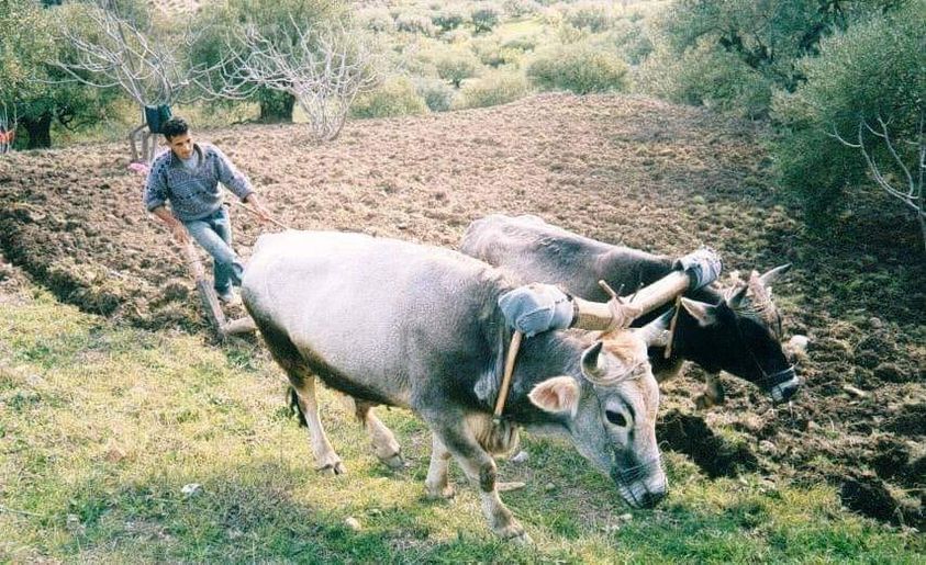 La notion d'espace- temps dans la pensée amazighe.