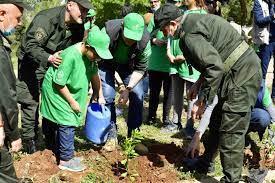 Planète (Afrique) - Journée internationale des forêts: L’Algérie veille à la préservation de son patrimoine forestier