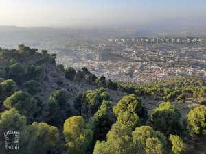 Historique de la forêt domaniale de Tlemcen