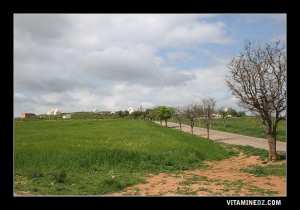 هناك عدة اضرحة بسيدي قادة سيدي