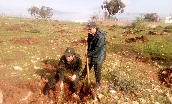 Des opérations de reboisement pour célébrer la journée des forêts à l’Ouest