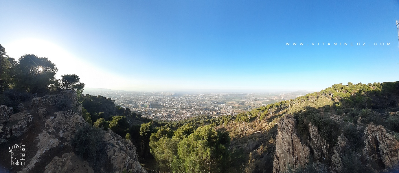 Tlemcen : Bureau des inventaires, des aménagements et produits forestiers :