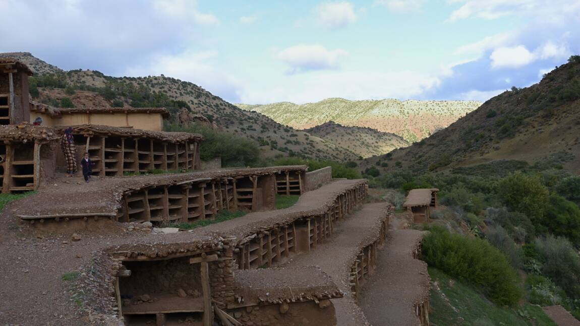Planète (Afrique) - Au Maroc, les abeilles désertent le plus ancien rucher au monde