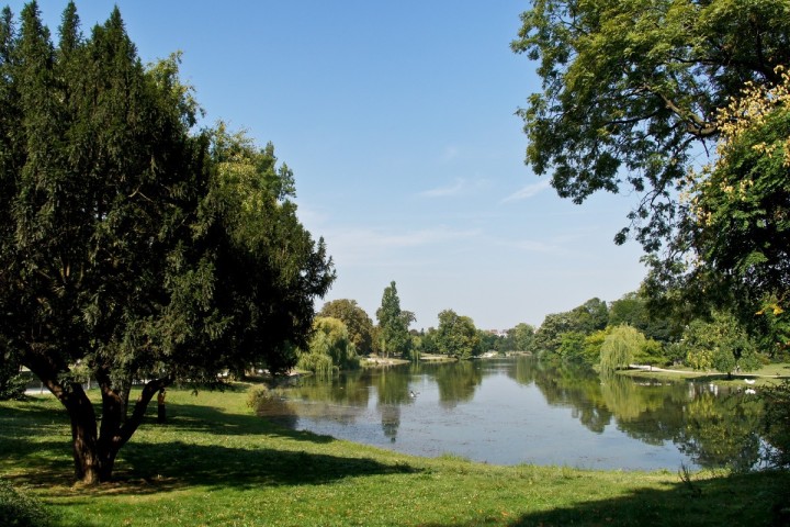 Planète (France/Europe) - À Paris, le chantier du métro menace 130 chênes centenaires