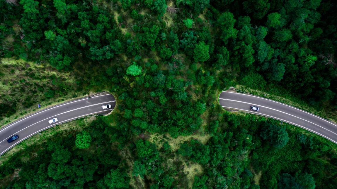 Planète (Etats-Unis/Amérique du Nord) - La construction du plus grand pont du monde dédié aux animaux va démarrer en Californie