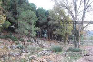 L'histoire de Ain Abou El Mouhadjer Dinar