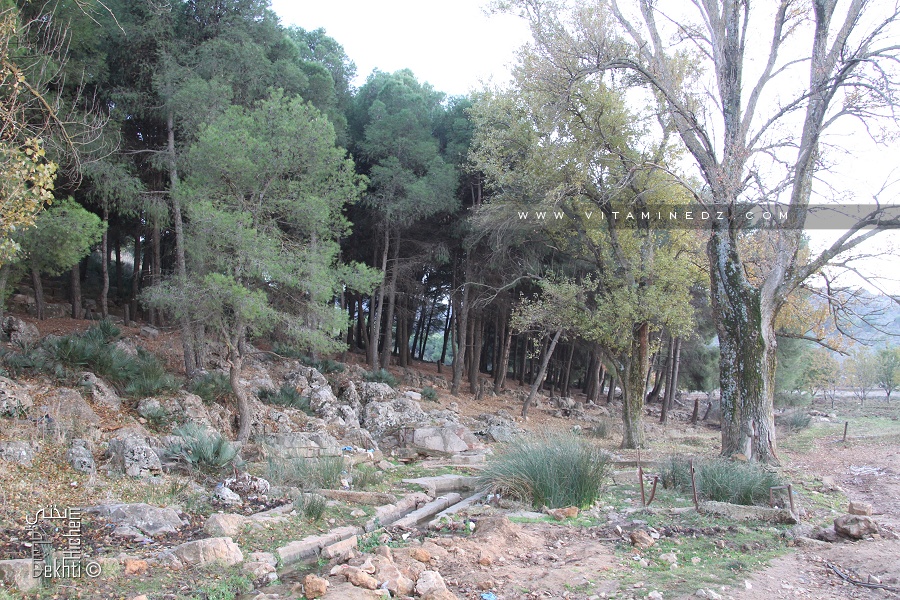 L'histoire de Ain Abou El Mouhadjer Dinar