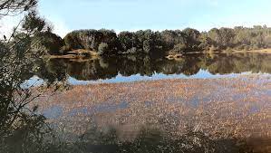 Algérie - Un nouvel atlas sur les zones humides algériennes classées Ramsar