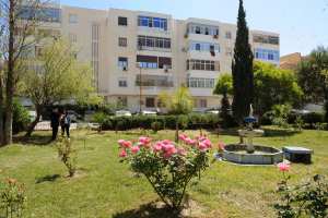 Bordj El Bahri (Alger) - Le comité de quartier à cheval sur leur environnement: Un exemple de civisme à suivre