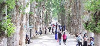 Alger - Jardin d’essai du Hamma: Nécessité de préserver le site 