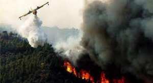 Algérie - Pour éviter le scénario de 2021: L'Algérie affrète six avions de lutte contre les incendies