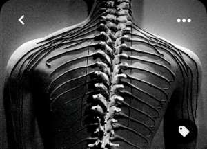 NOTRE CORPS ET NOS EMOTIONS