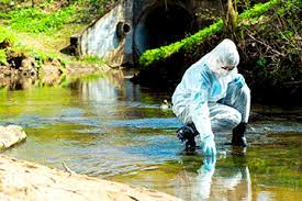 Planète - Pandémies: Quand la déforestation et l’agriculture menacent la planète