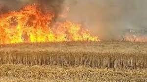 Algérie (Wilaya d'Oran) - Moisson-battage: Sensibilisation des agriculteurs sur les feux de récoltes